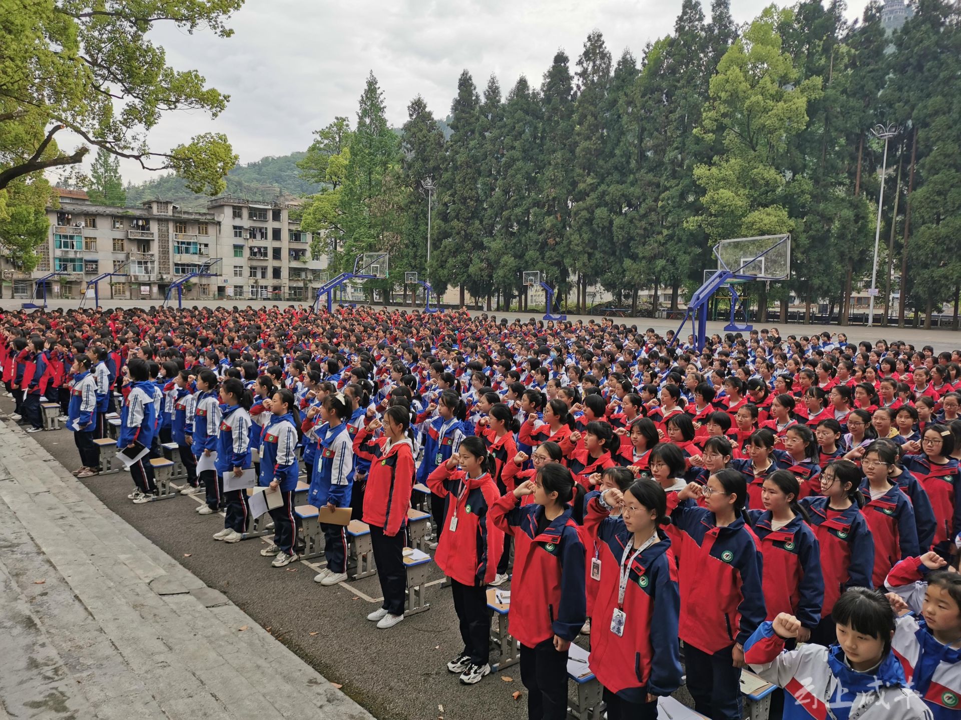 铜仁民族中学夏季校服图片