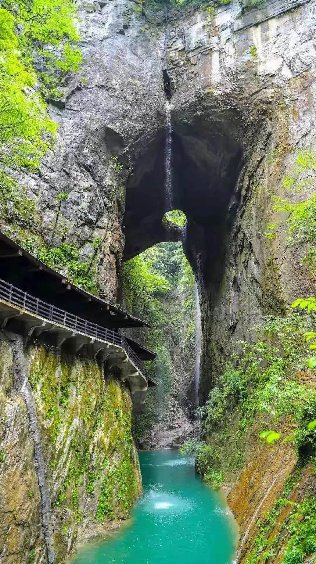 恩施坪坝营春游踏青漫步森林吸氧洗肺不负时光不负卿