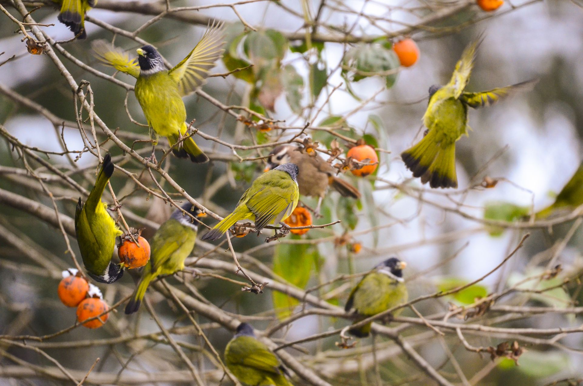 来源:宣恩县融媒体中心 唐今朝 通讯员 汪国超 田自红