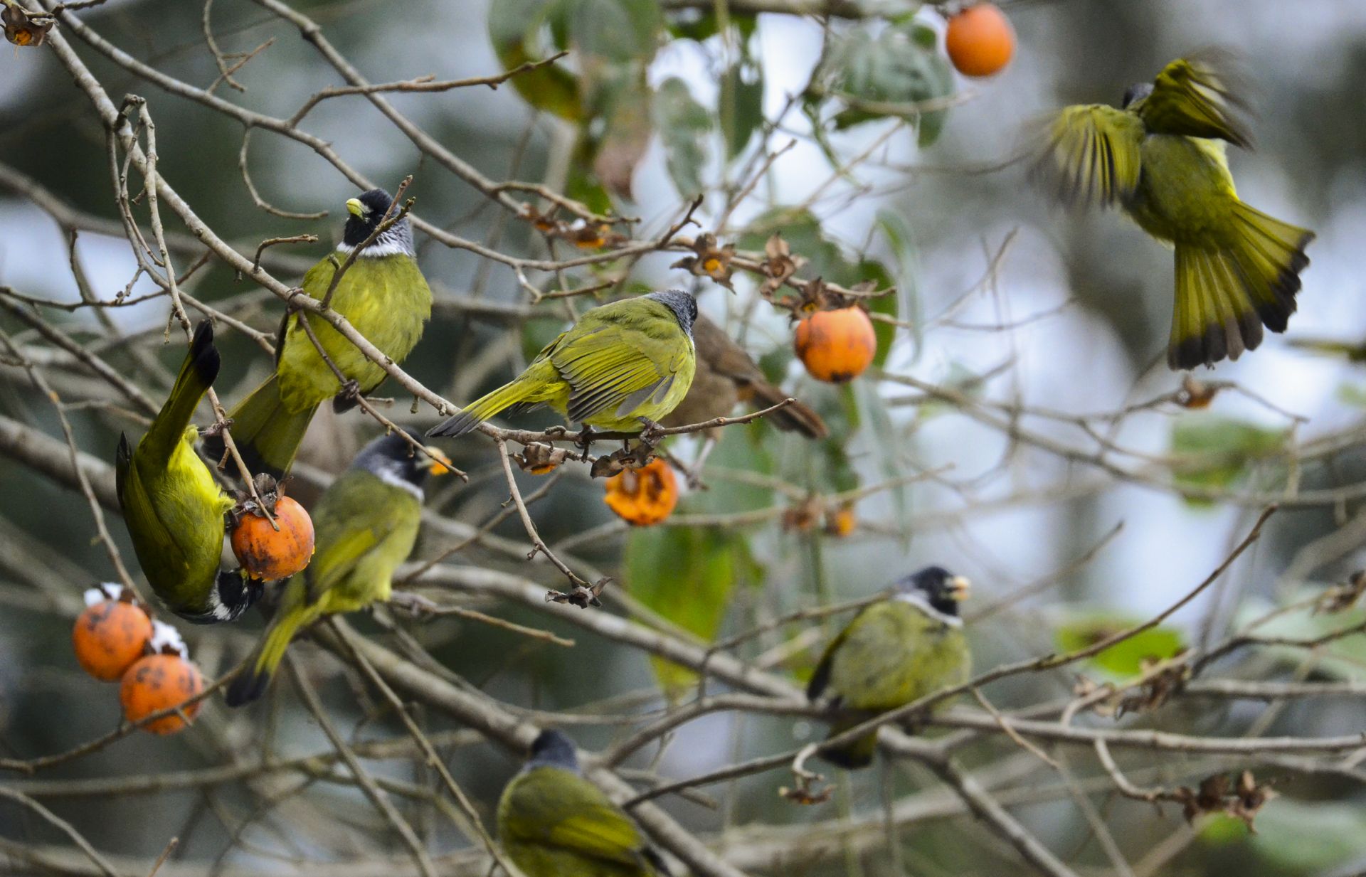 来源:宣恩县融媒体中心 唐今朝 通讯员 汪国超 田自红