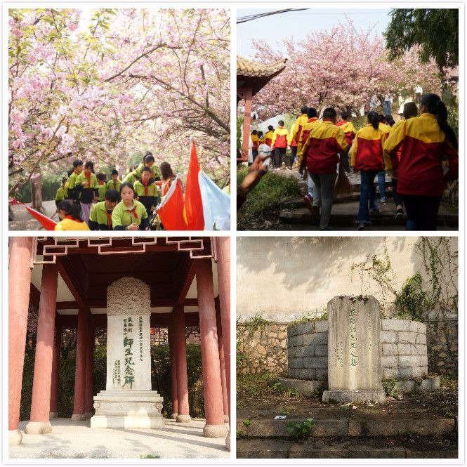 看樱花不用去武大啦西山张裕钊陵园的樱花美翻了