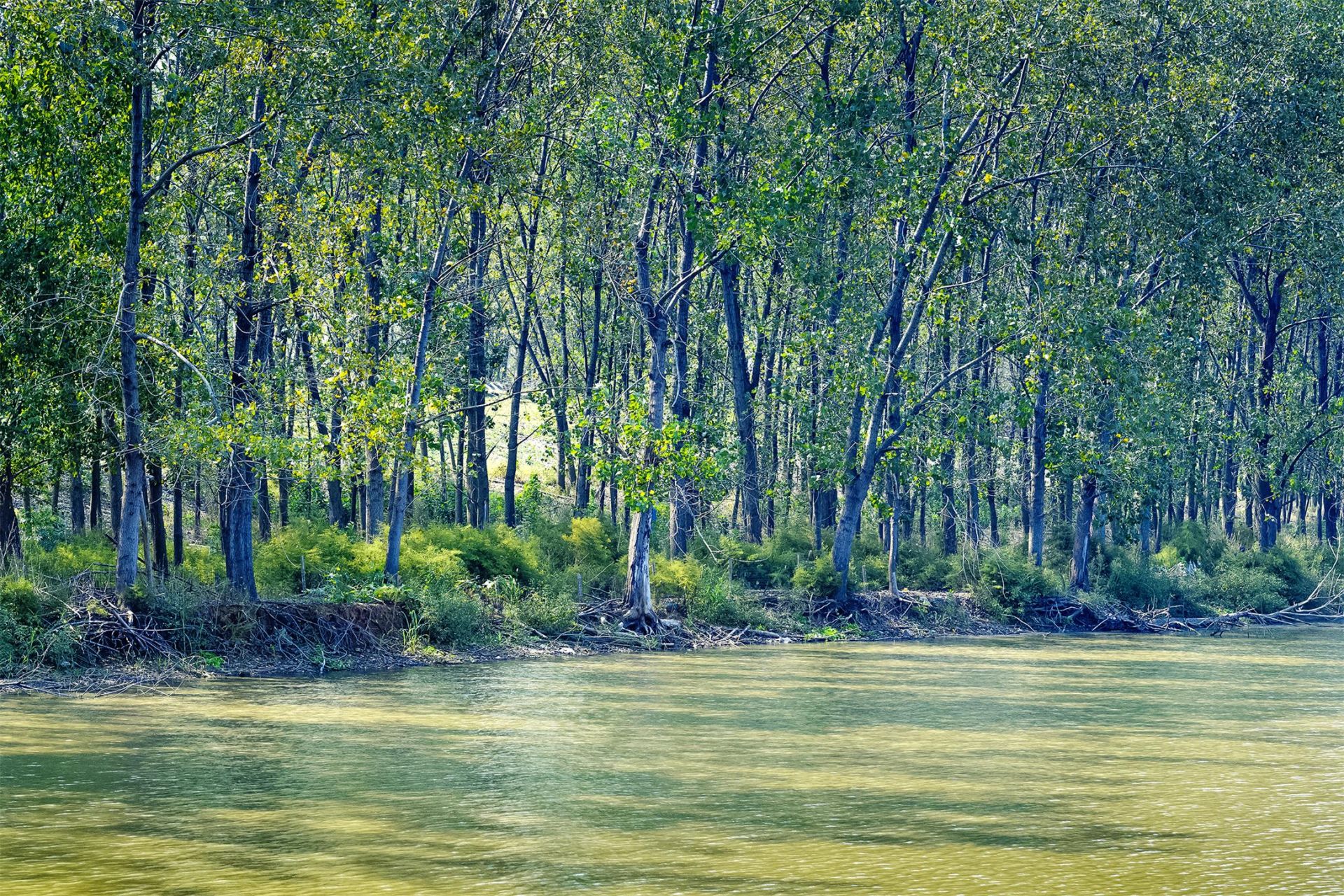 江村日记告别老屋