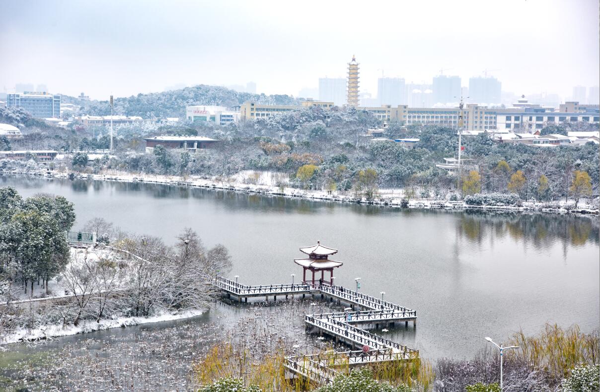 鄂州下雪了大雪中比雪景更美的是他们