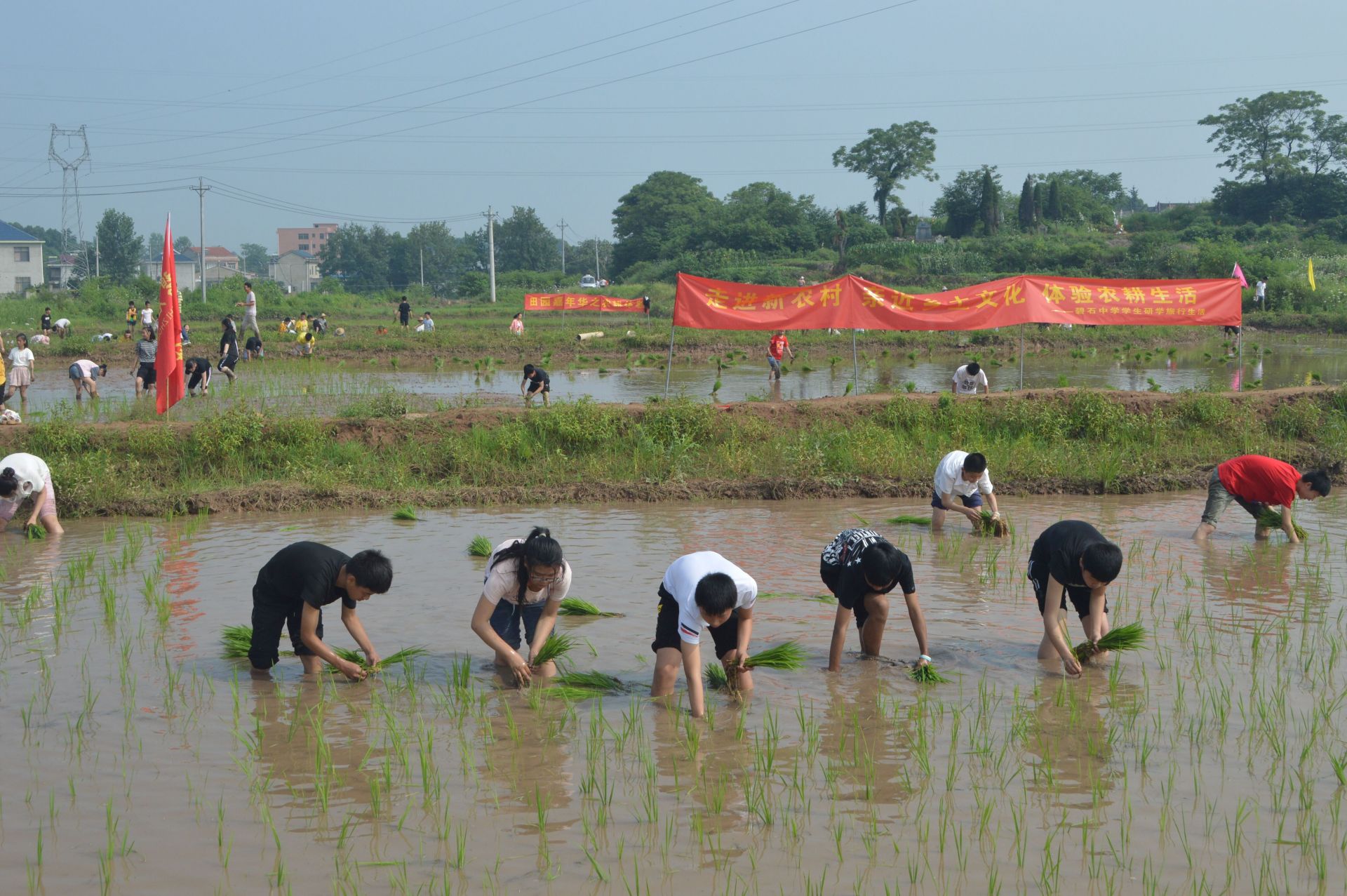 下田学插秧体验农耕忙