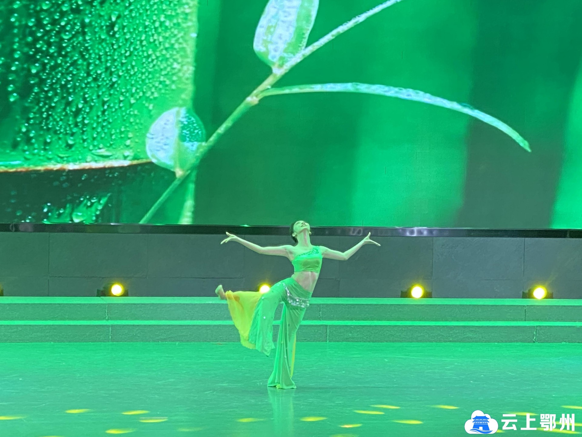 熊薇的独舞《雨竹林》此次比赛分音乐,舞蹈,戏剧,曲艺,美术,书法,摄影