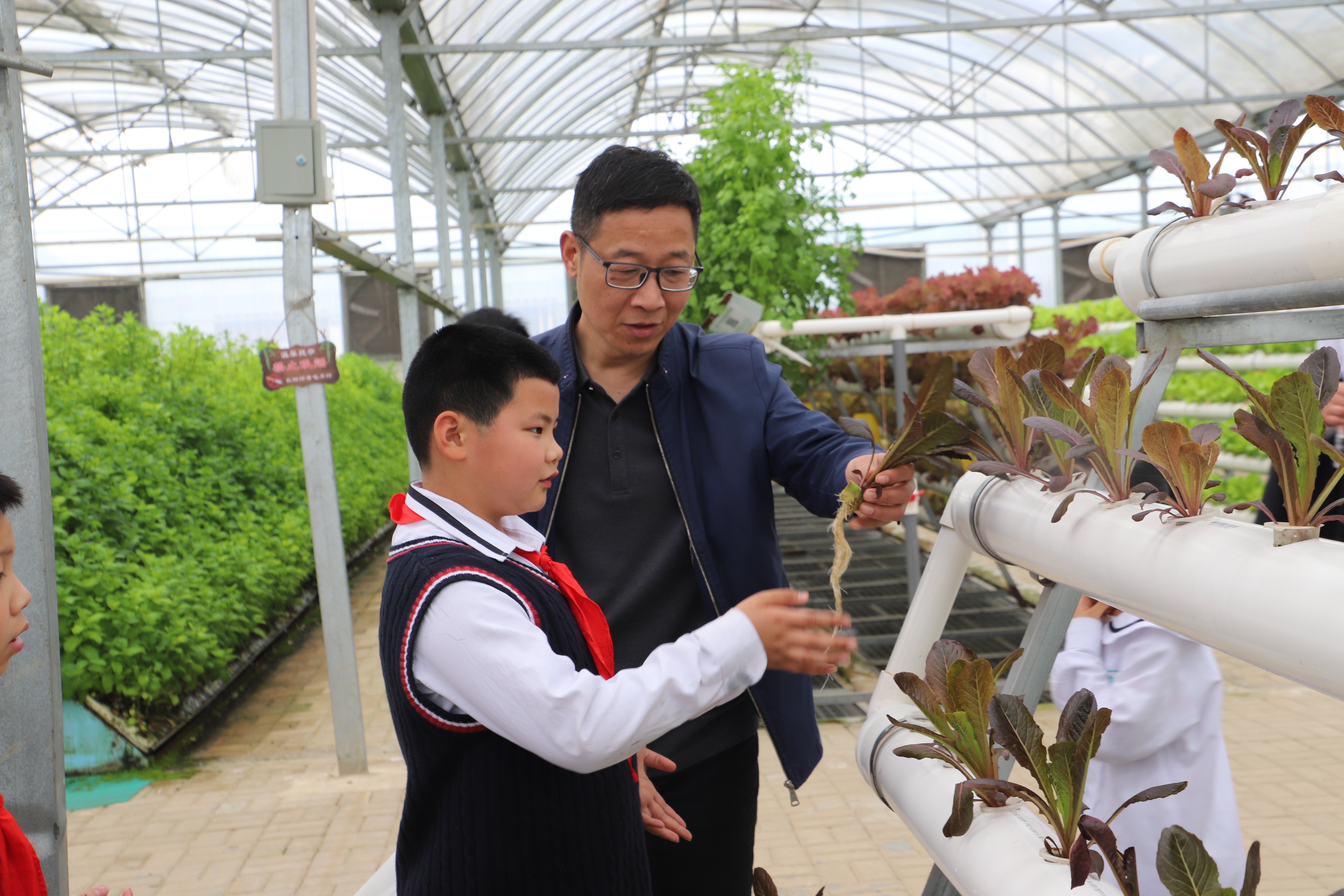 鄂州新民街小学名师图片