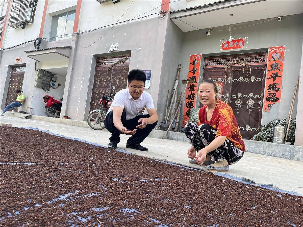 微信图片_2025-08-14_164057_415.jpg
