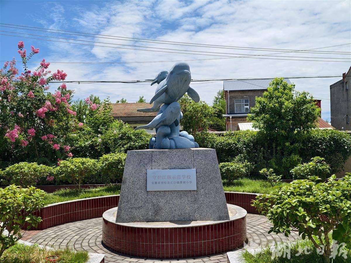江豚 江豚小学的孩子们8.jpg