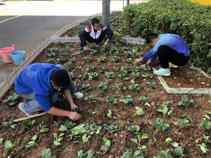 QQ图片20251107122016(11)