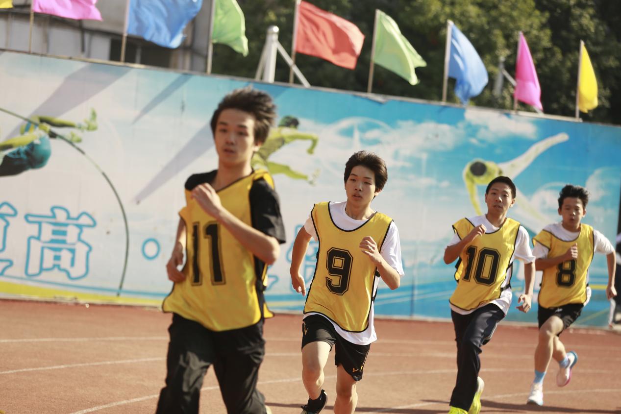 3e36bb0fab834644fc00cbaf10eaef0a