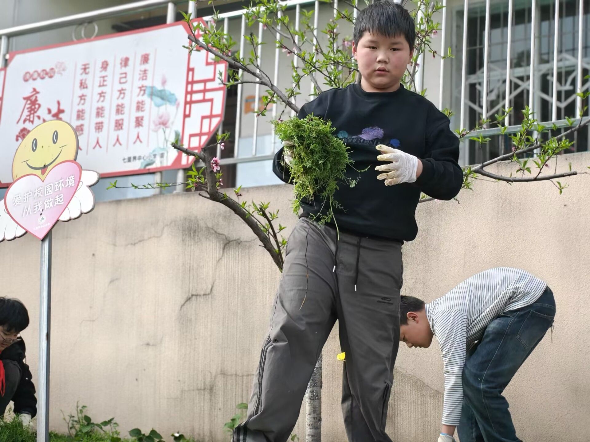 b222db79d834eada0bf24b3747cd5d66