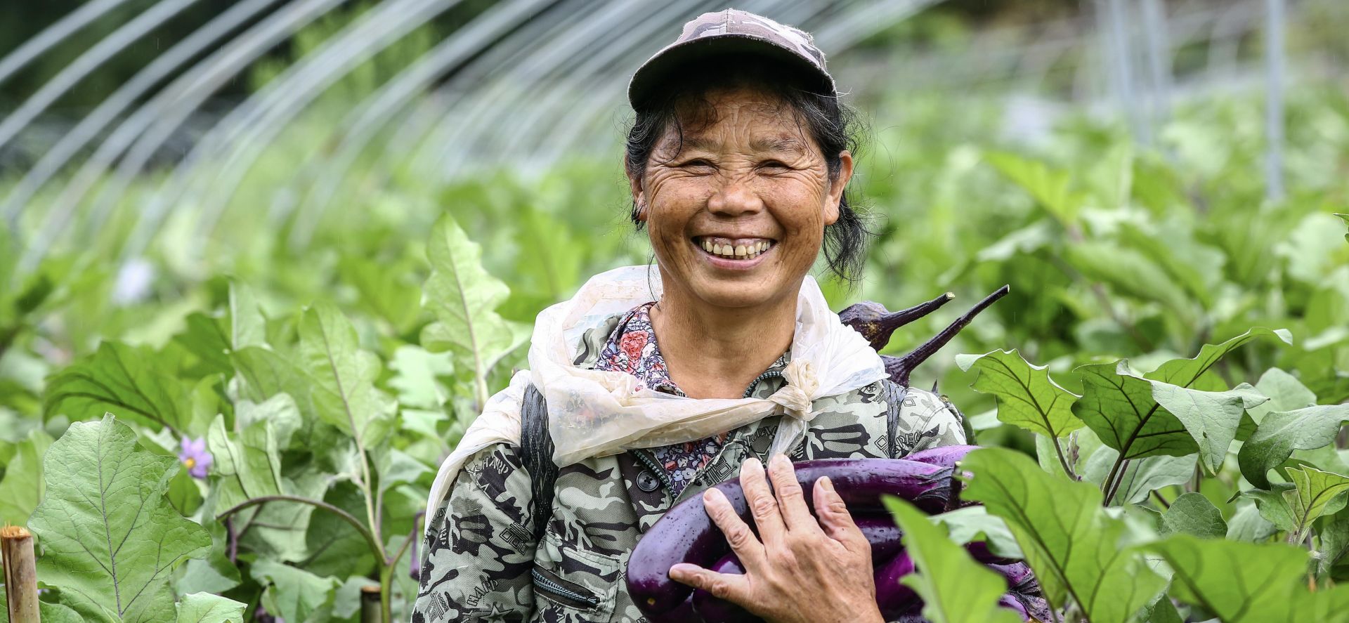 湖北来凤一年的丰收组图