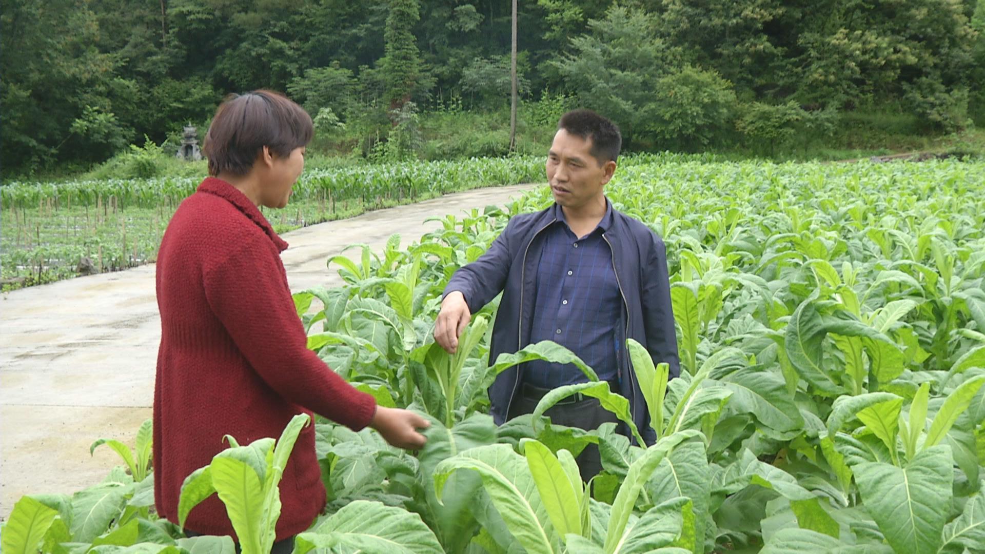 董学龙返乡有担当主动请战为村民谋幸福