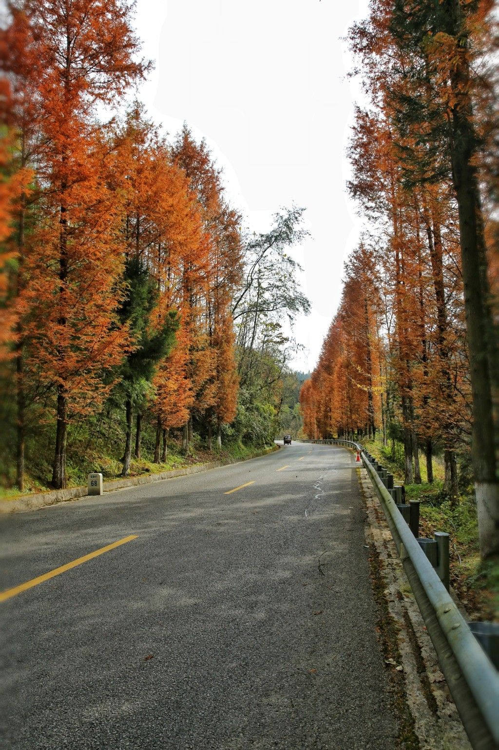 湖北最美乡村公路图片