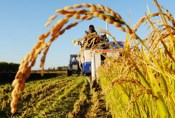 沙洋创新农业金融资金输血兴大户