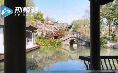 408_251gif 动态图 动图