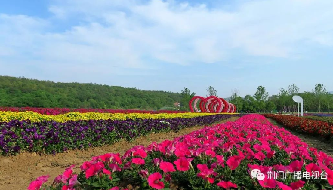 聖境花谷田園(資料圖)來源:荊門廣播電視臺 宋濤編輯:怡憬審核:鄭耘