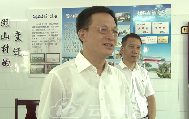 王祺扬在钟祥市胡集镇调研时强调建强基层党组织加快产业转型升级