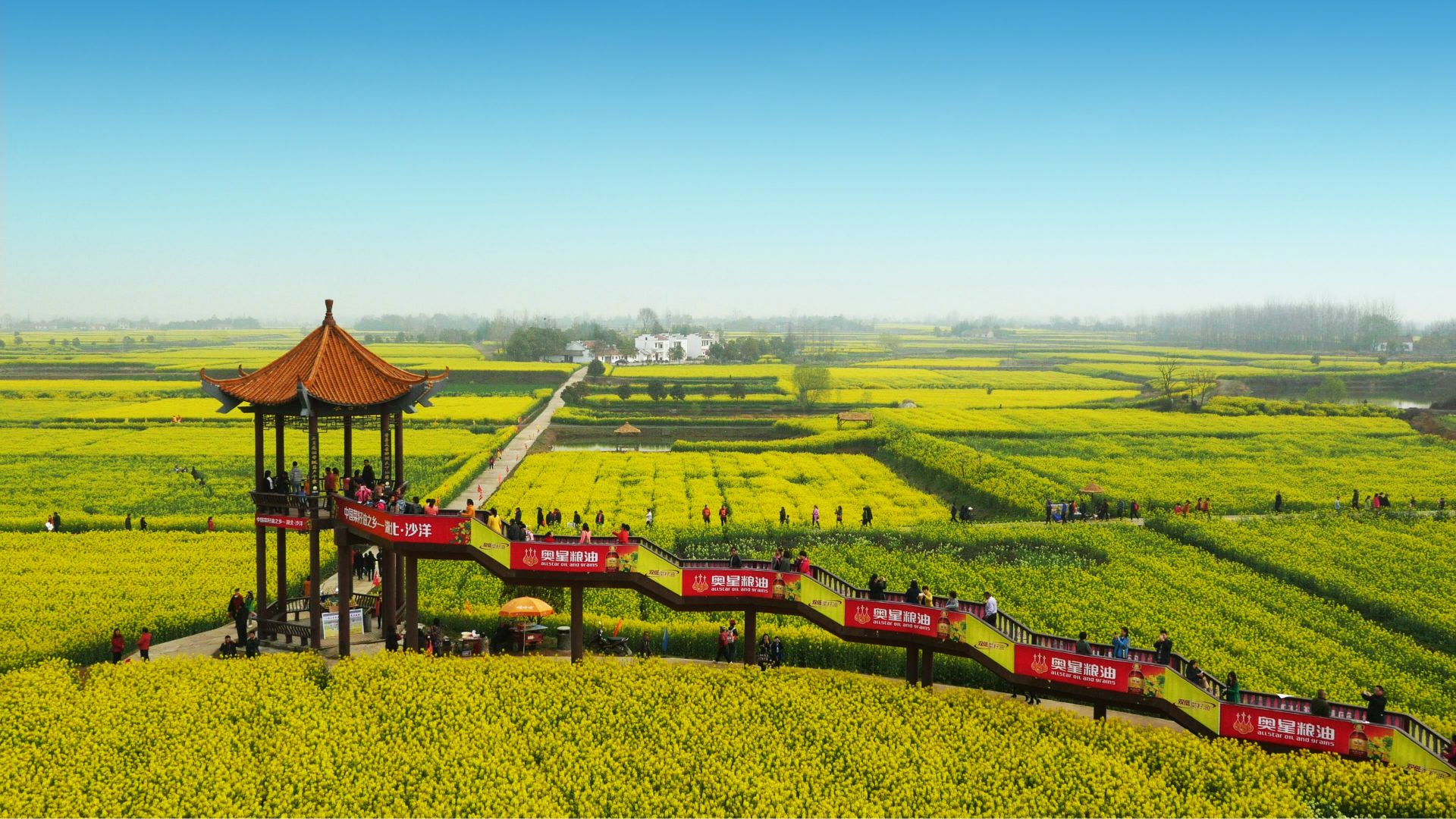 沙洋县高端网站建设_(沙洋县高端网站建设项目)