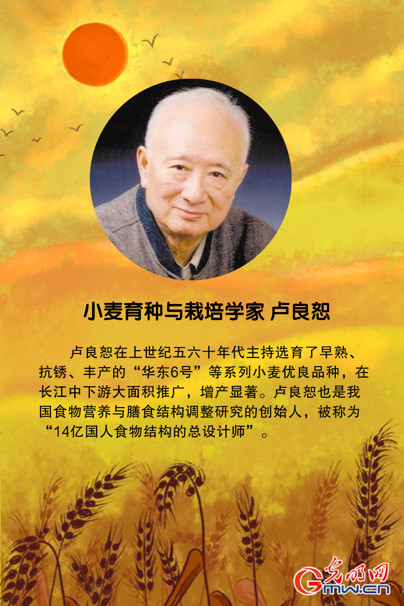 黄耀祥"杂交水稻之父" 袁隆平小麦育种专家 程顺和"海水稻之父"
