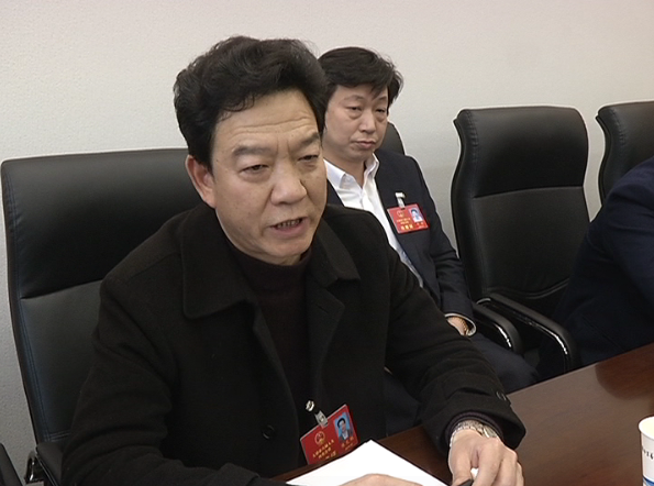 刘会金参加金湖代表团审议