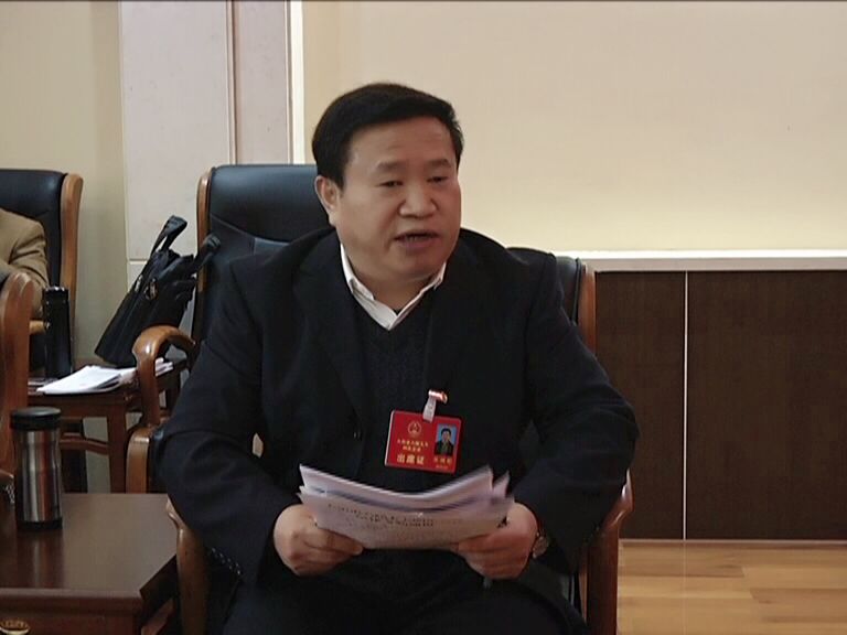 报告提出要"加快招商引资和项目建设,培育壮大发展后劲",陈雄彬代表