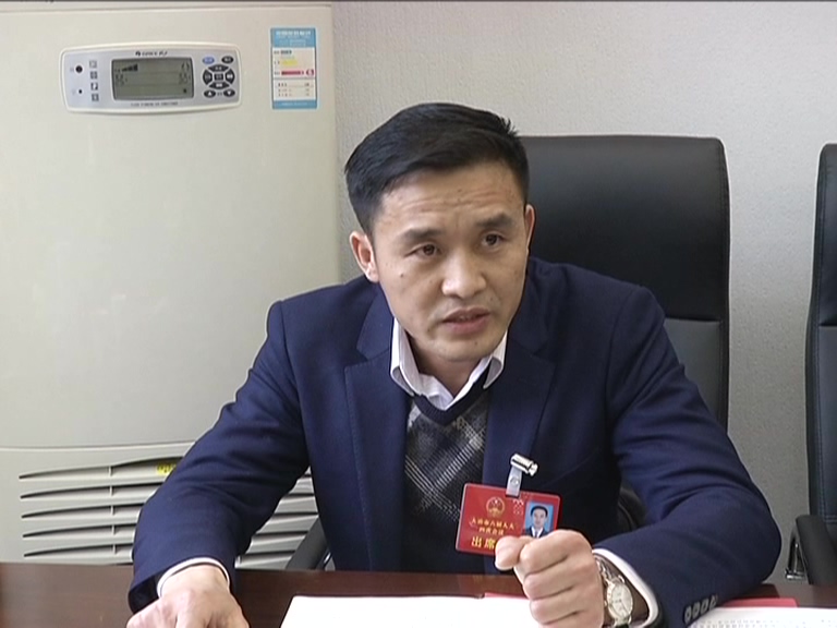 刘会金参加金湖代表团审议