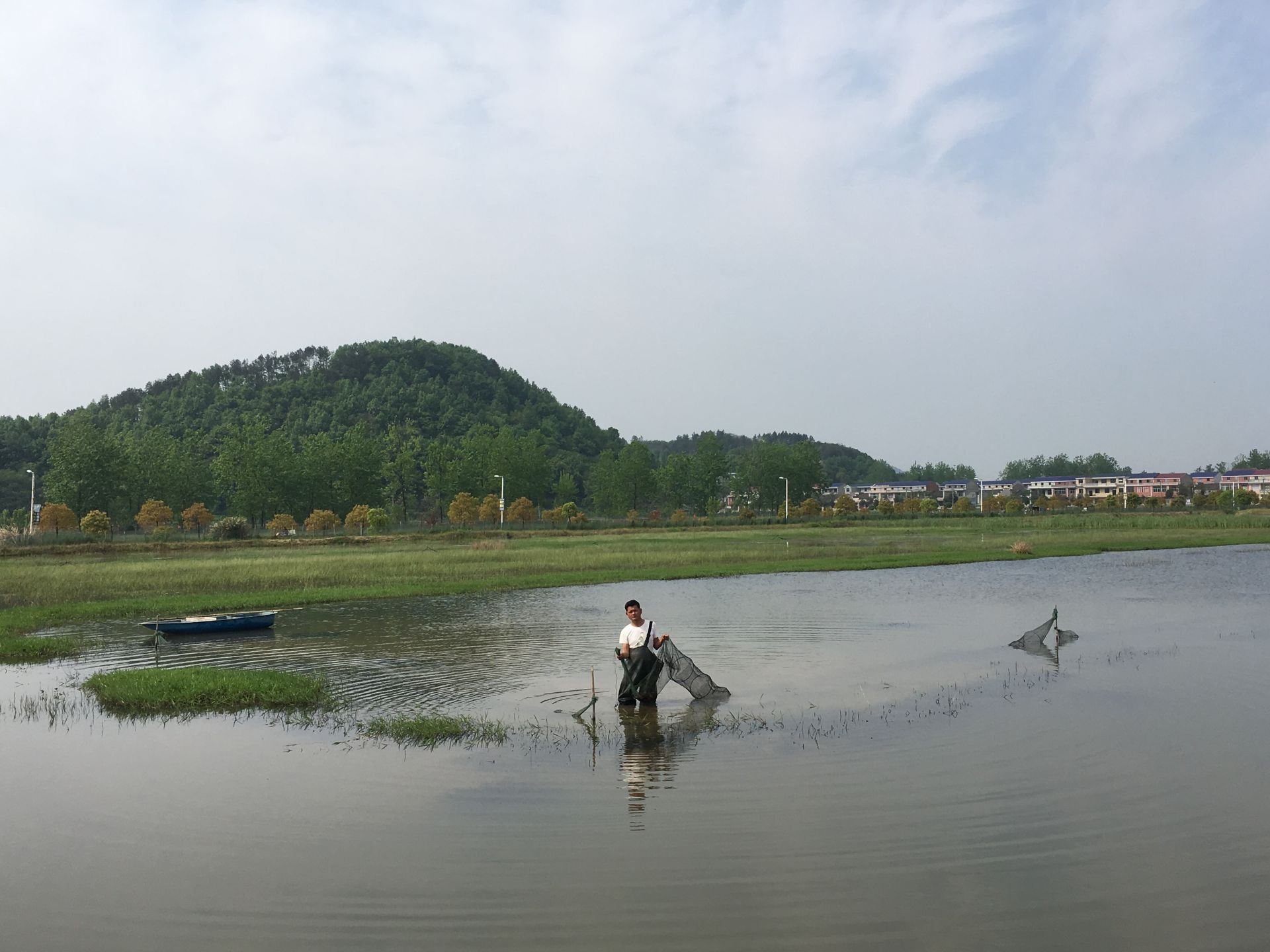 湖北对虾养殖基地在哪里 湖北养对虾骗局是怎么回事?