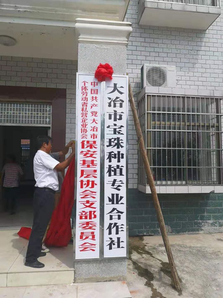 保安个私协基层协会党支部正式挂牌成立