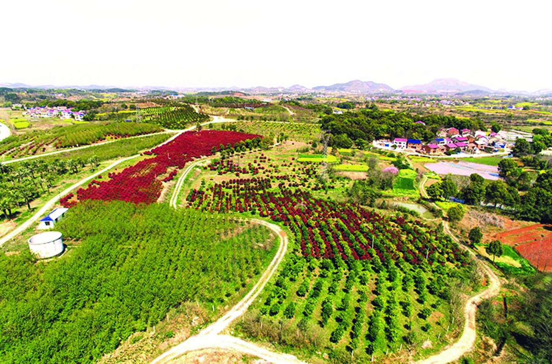 还地桥镇高质量发展的镇域样本