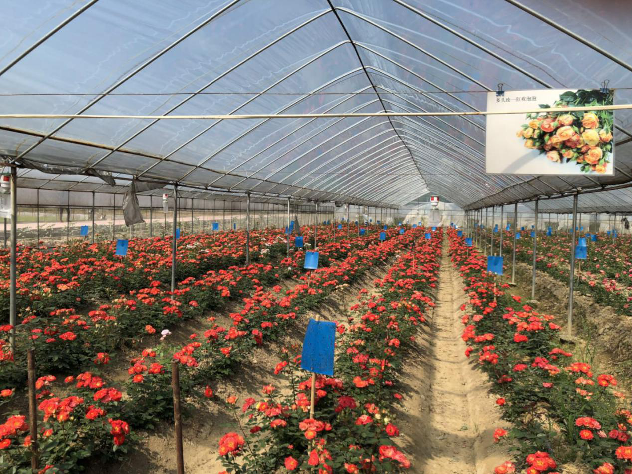 养花用上智能化机械