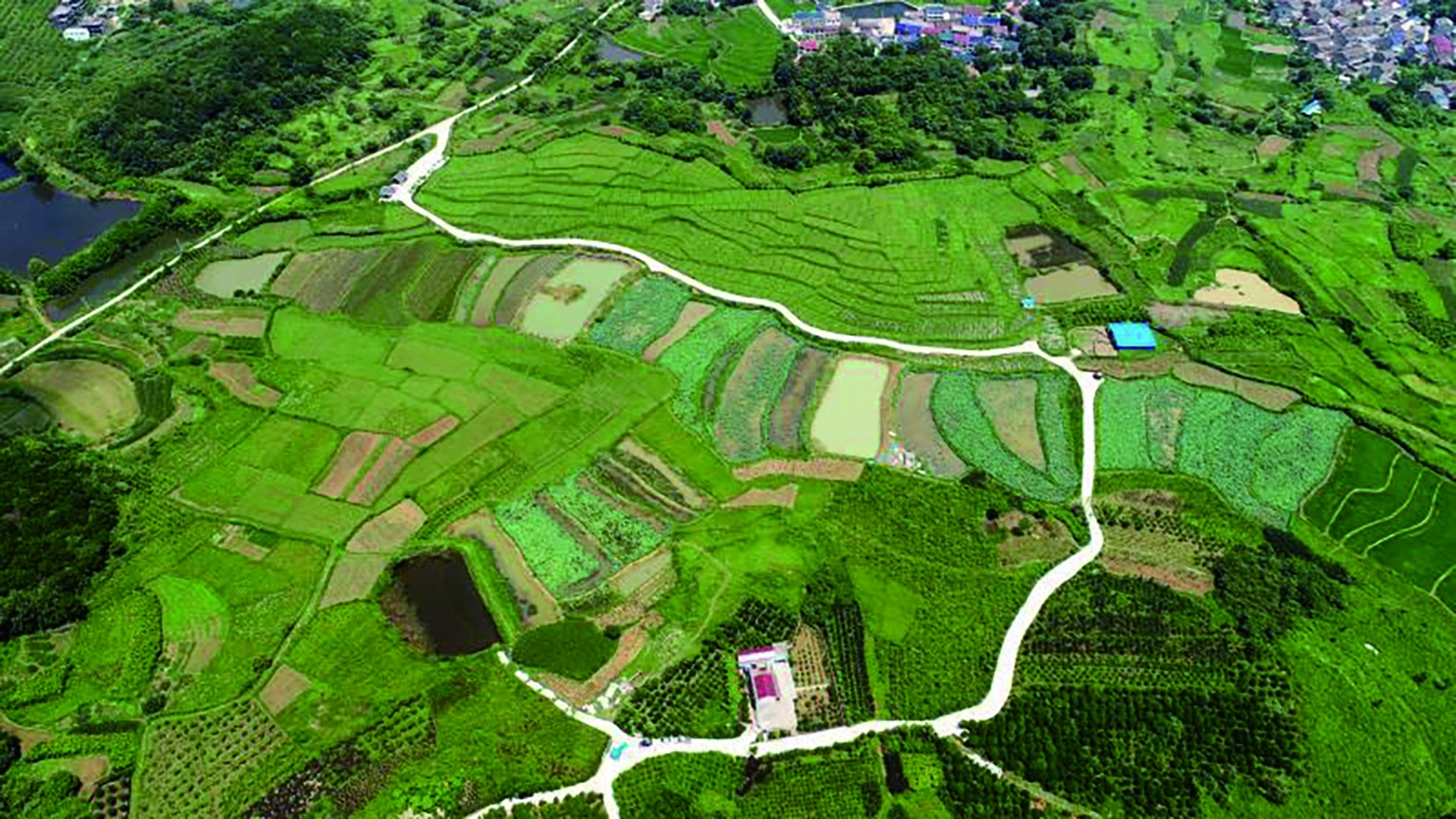 农旅融合奔小康记还地桥镇南石村产业扶贫带头人程君华