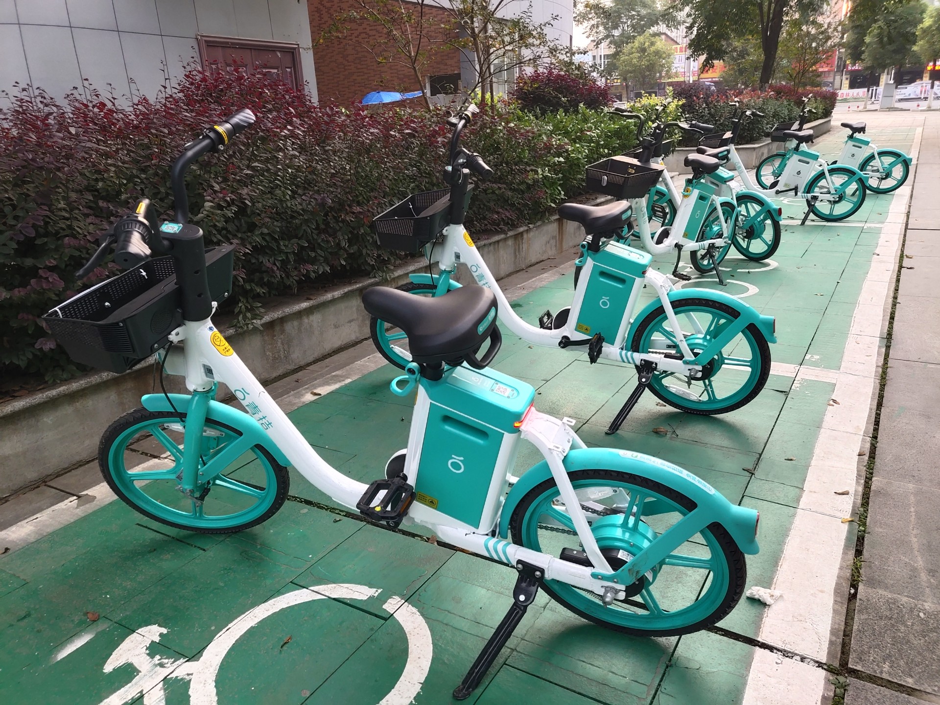 倡导低碳环保助力绿色出行青桔助力车落户我市首批已投放千余辆