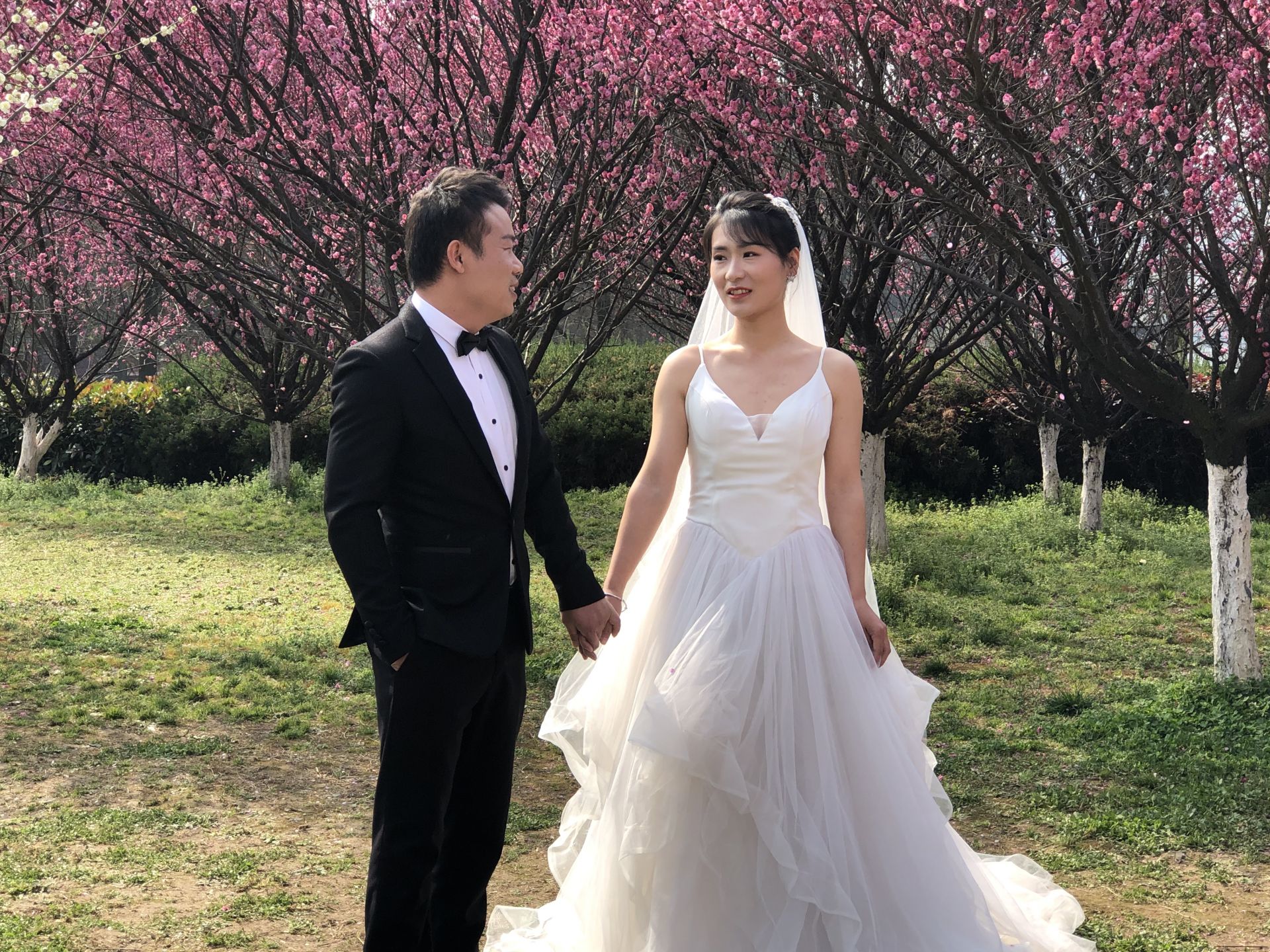 春节假期天气好市民踏青兴致高