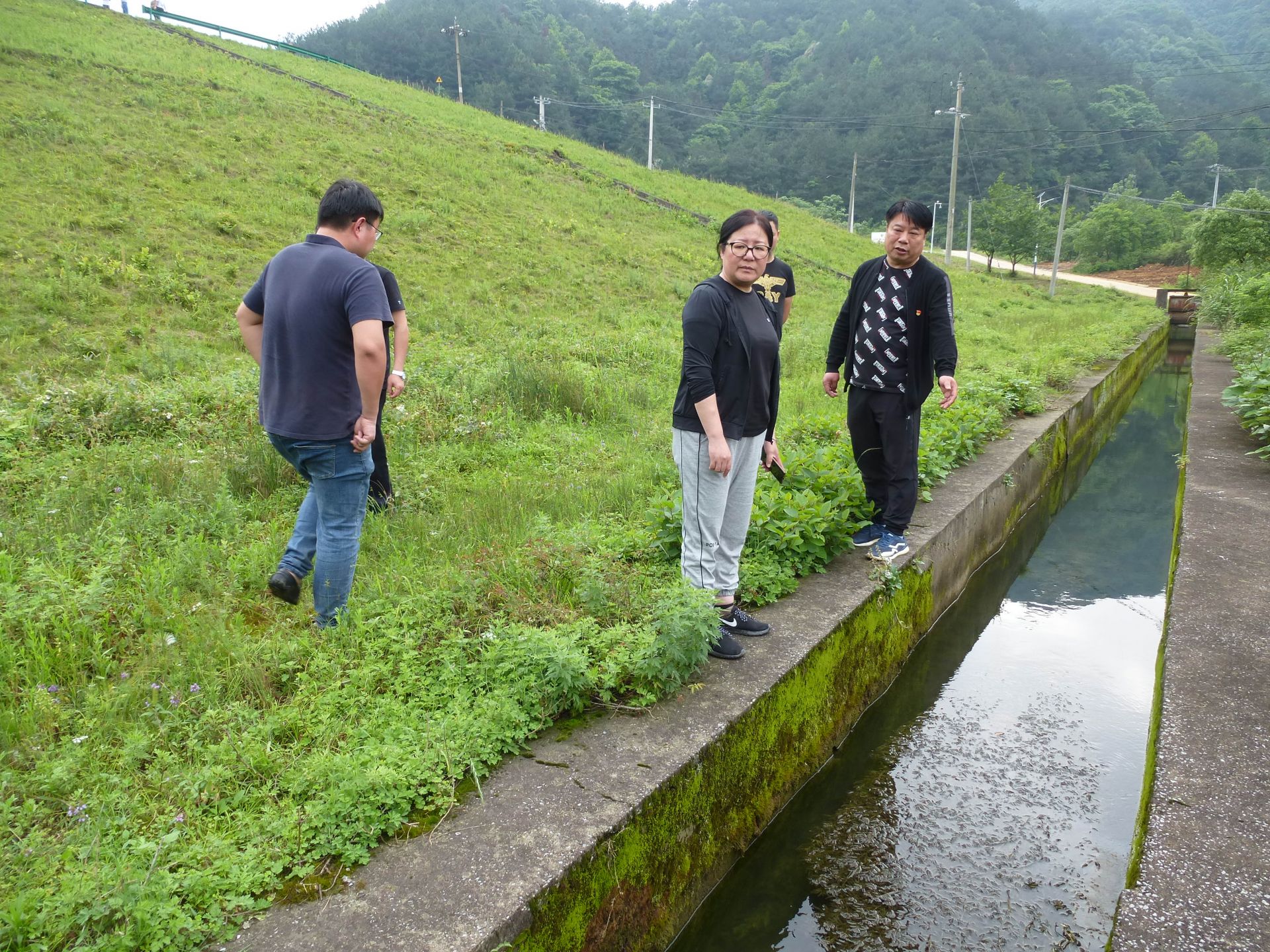 市水利和湖泊局做好防汛督导检查保障全市河库安澜