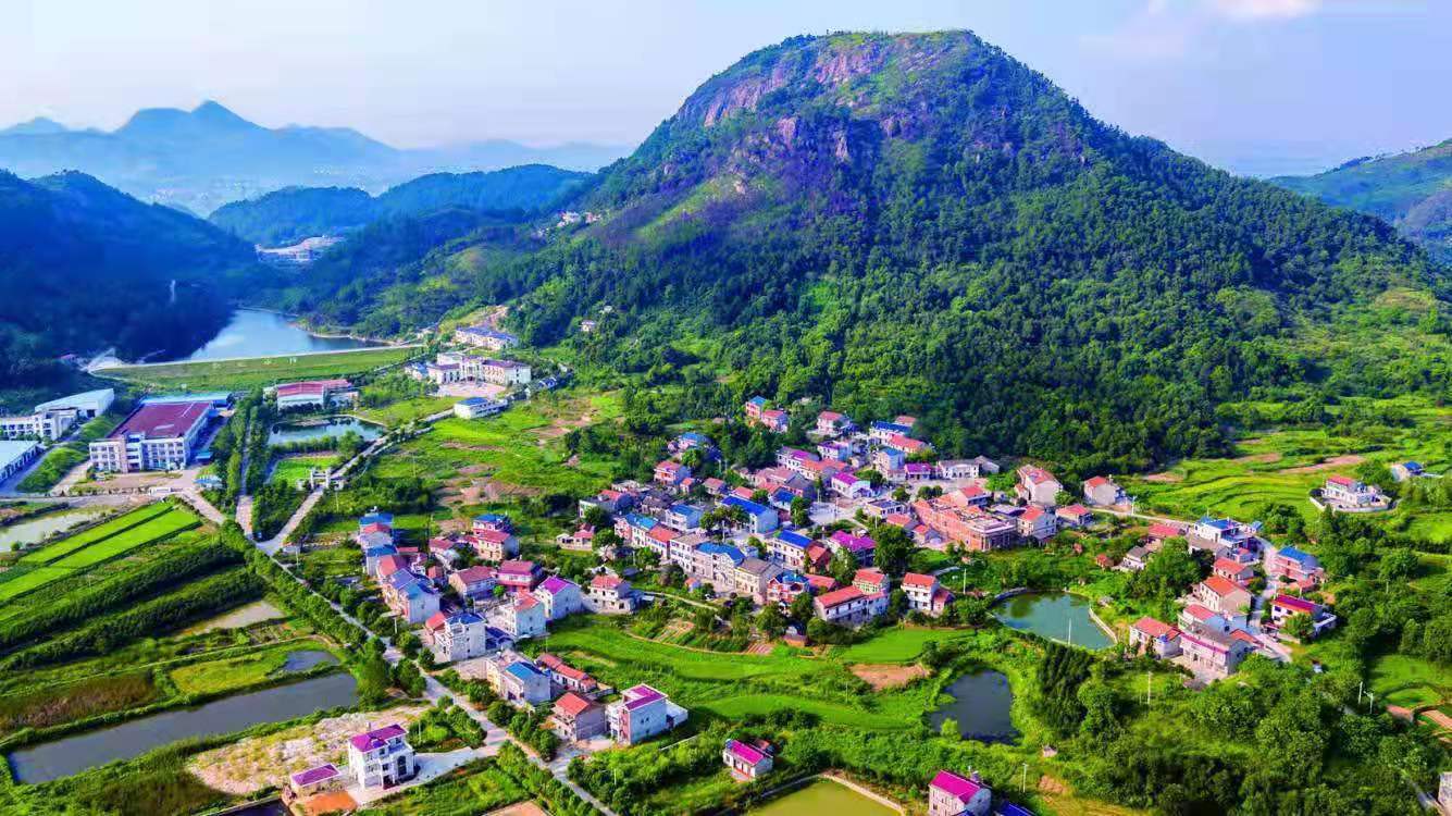 书记访谈打造先进制造业集聚地争当高质量发展排头兵访灵乡镇党委书记