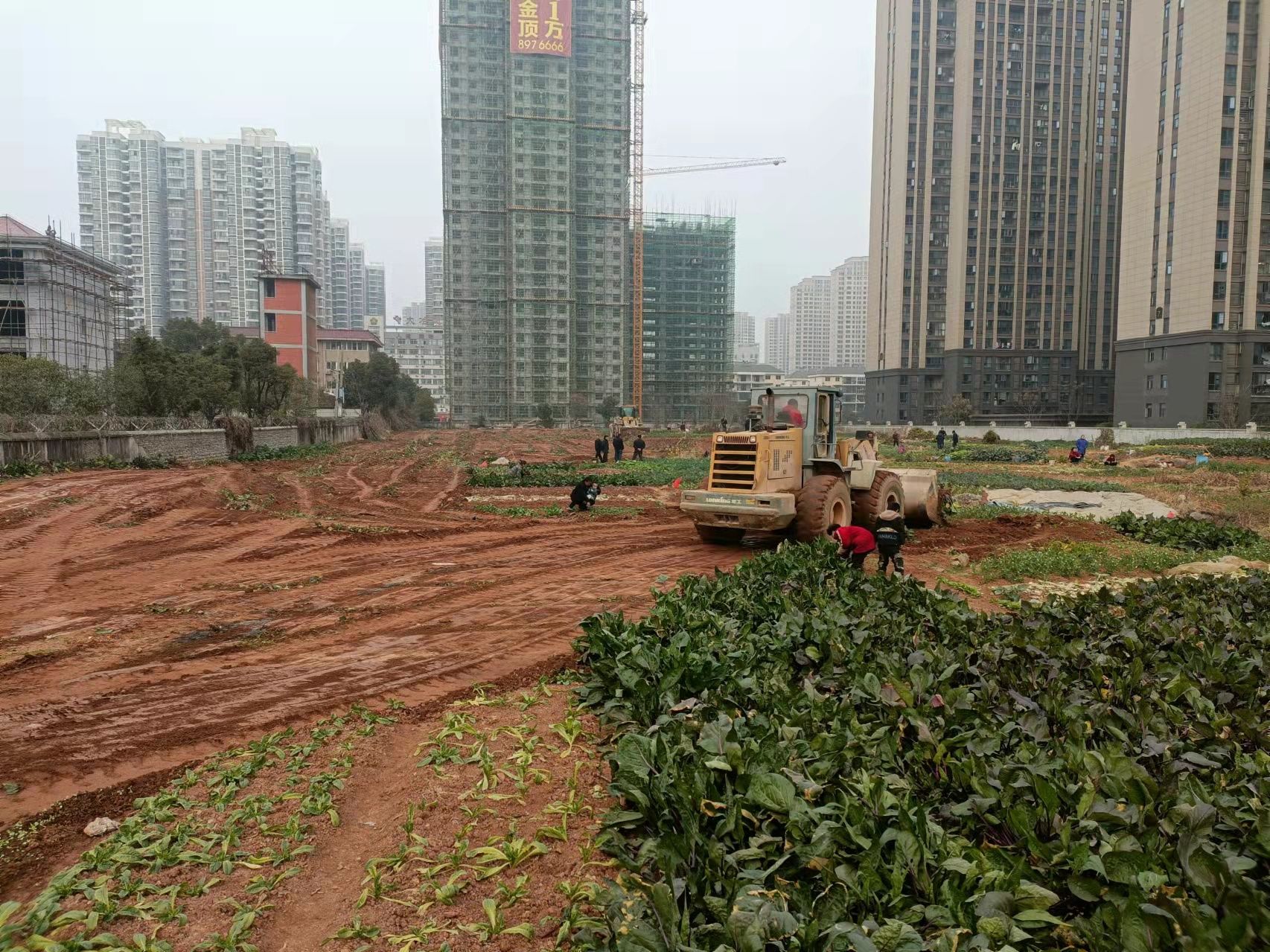 云上大冶报道(记者 张蕾 通讯员 孙立飞)为加快远鹏置业恒泰三期地块