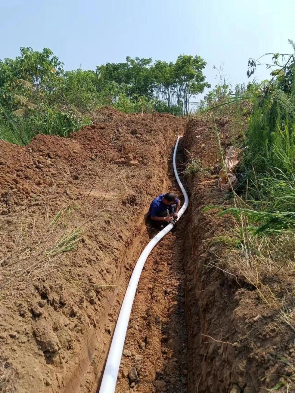 抽水抗旱保障农作物生长