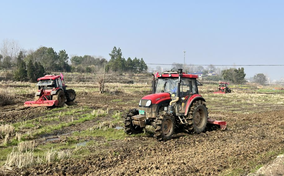 金山店镇:抢抓农时备春耕_长江云 - 湖北网络广播电视台官方网站