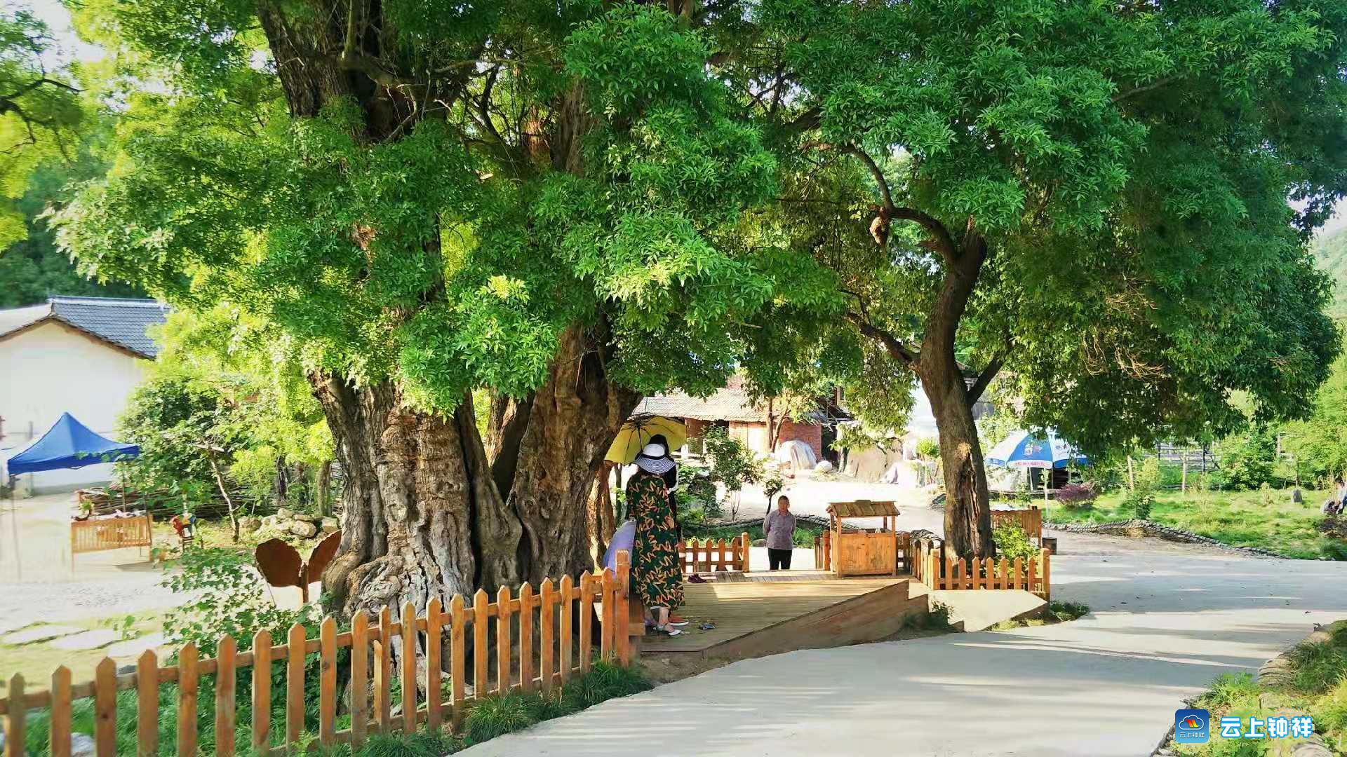 喜讯钟祥市南庄村入选2018年中国美丽休闲乡村公示名单