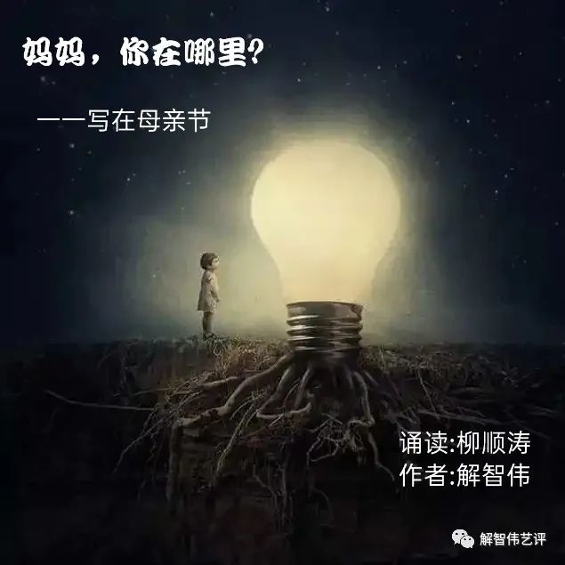 母亲节的思念妈妈你在哪里