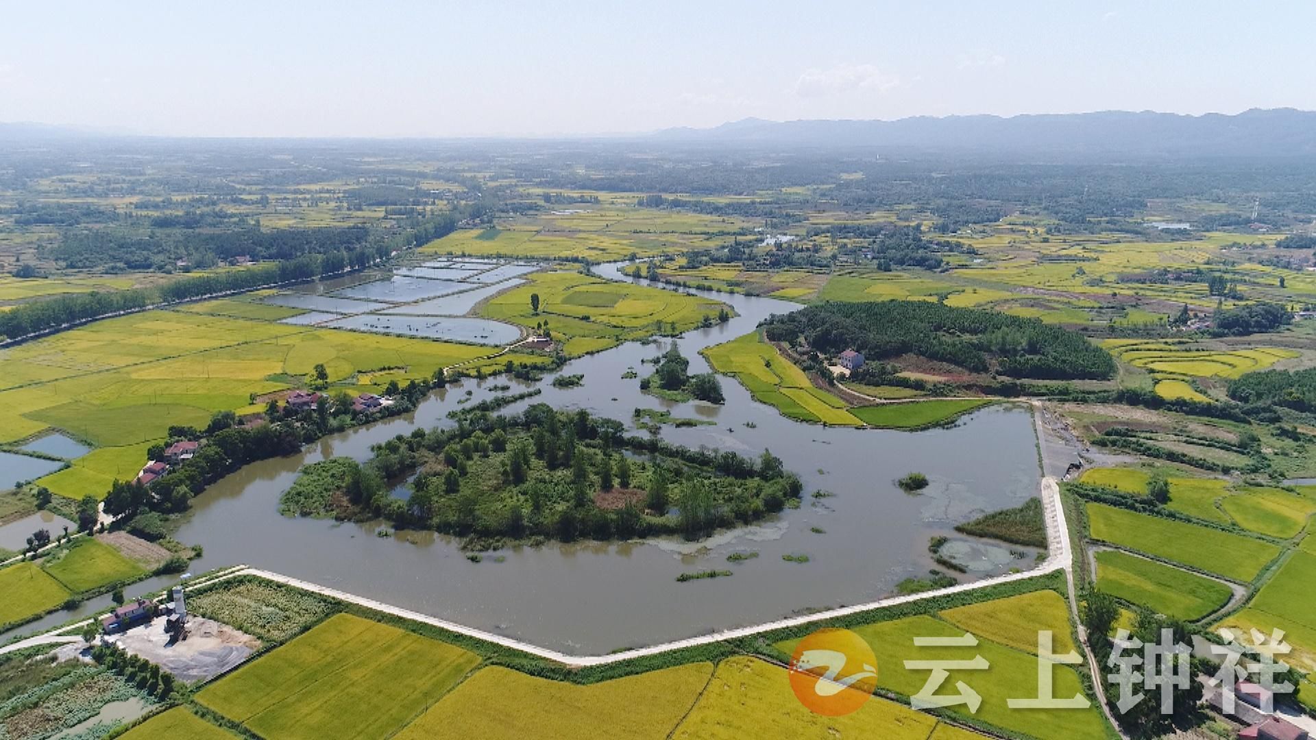 楊孟富調研東橋鎮全域國土綜合整治項目推進情況