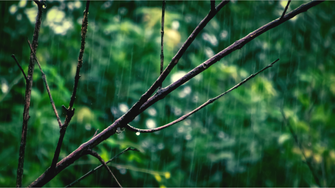 風雨人生自己撐傘