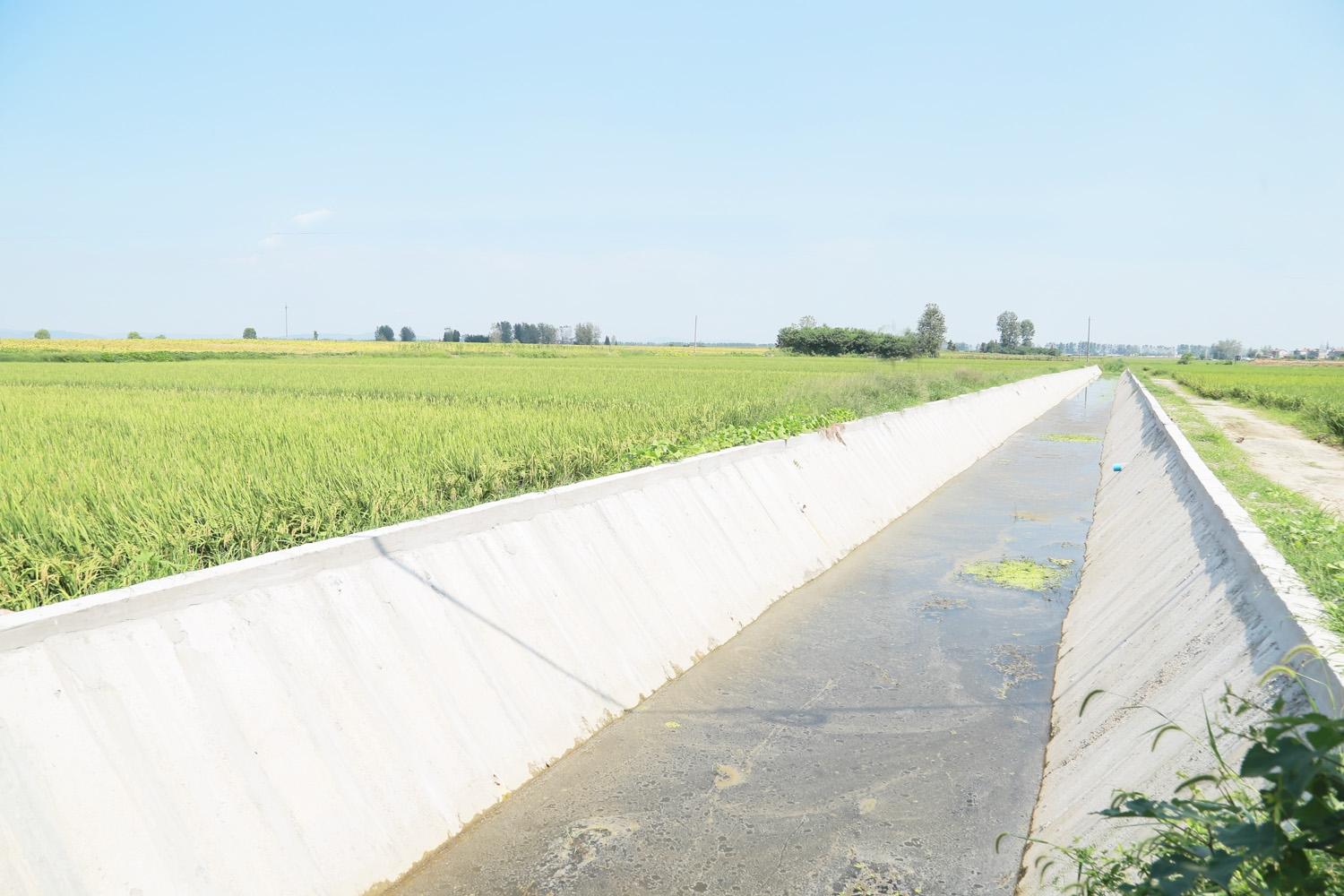 田野欢歌钟祥市高标准农田建设略记