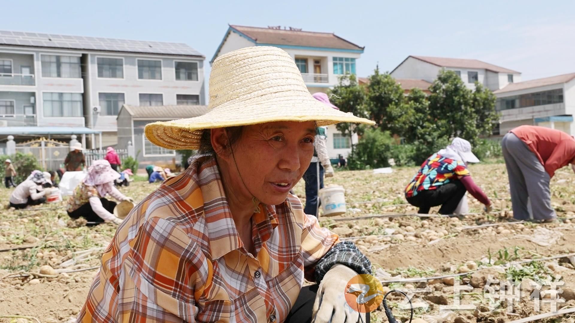 杨祠村村民张敏就是其中的受益者之一