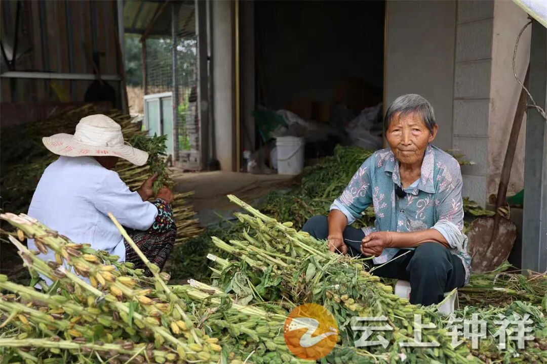 微信图片_20250910095322_469_26.jpg