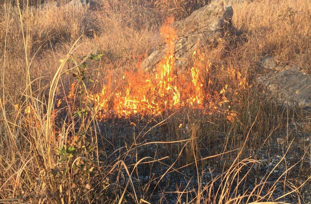 广播电视台精准扶贫驻村队员勇灭山火
