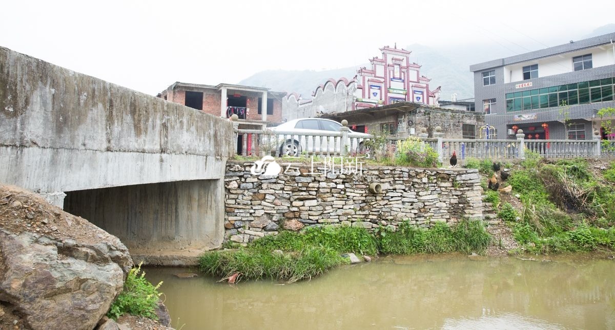 洋港镇泉口村巢林庄村庄理事会