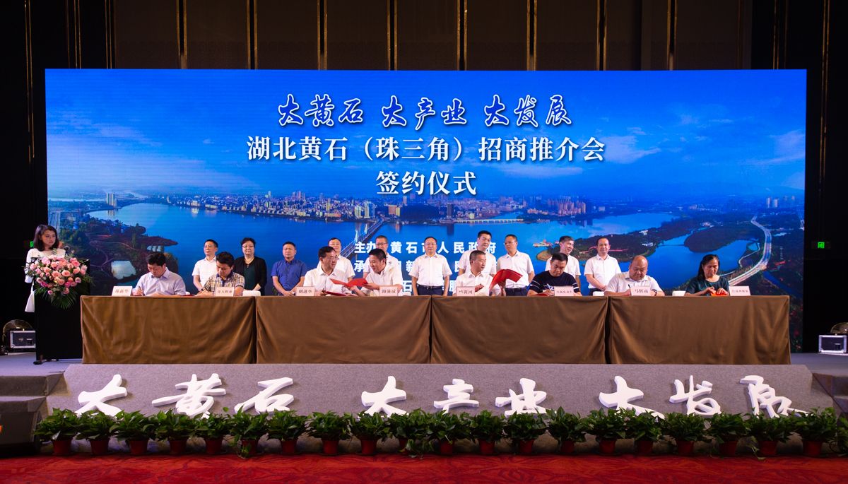 黄石市,阳新县领导吴锦,李文,王建华,明进华,华黄河,陈新华,马辉商等
