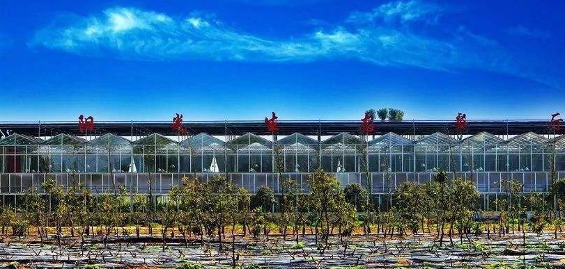 恭喜2019年湖北省休闲农业示范点名单公示阳新这三家入围